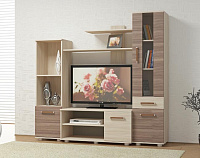 Гостиная Ибица (Ясень шимо темный/Ясень шимо светлый)